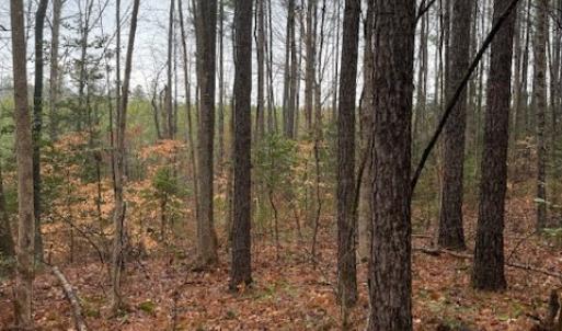 Photo #2 of 0 Cherry Hill Rd, McKenney, VA 21.7 acres