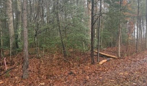 Photo #3 of 0 Cherry Hill Rd, McKenney, VA 21.7 acres