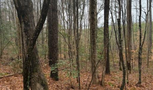 Photo #8 of 0 Cherry Hill Rd, McKenney, VA 21.7 acres