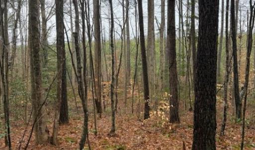 Photo #9 of 0 Cherry Hill Rd, McKenney, VA 21.7 acres