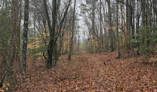 Photo #11 of 26398 Cherry Hill Rd, McKenney, VA 21.7 acres