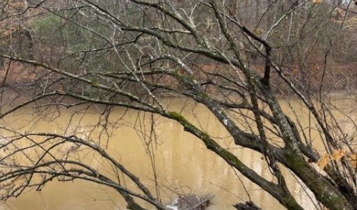 Photo #13 of 26398 Cherry Hill Rd, McKenney, VA 21.7 acres