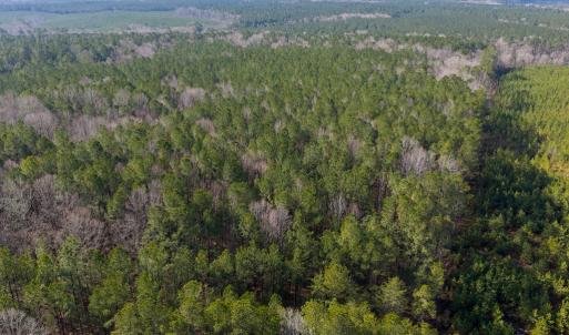 Photo #3 of 26398 Cherry Hill Rd, McKenney, VA 21.7 acres