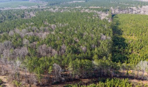 Photo #4 of 26398 Cherry Hill Rd, McKenney, VA 21.7 acres