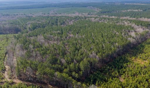 Photo #5 of 26398 Cherry Hill Rd, McKenney, VA 21.7 acres