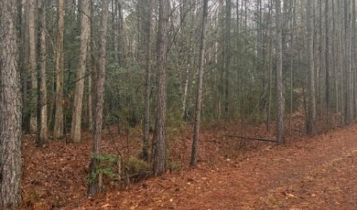 Photo #2 of 26399 Cherry Hill Rd, McKenney, VA 20.7 acres