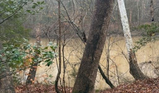 Photo #3 of 26399 Cherry Hill Rd, McKenney, VA 20.7 acres