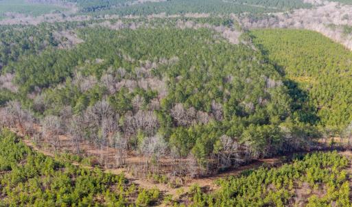 Photo #5 of 26399 Cherry Hill Rd, McKenney, VA 20.7 acres