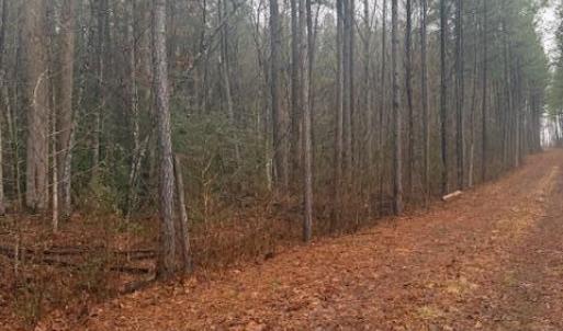 Photo #2 of 26400 Cherry Hill Rd, McKenney, VA 20.9 acres
