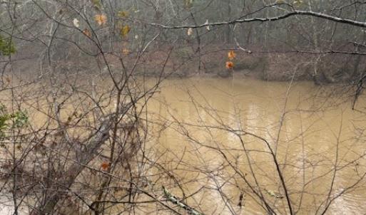 Photo #3 of 26400 Cherry Hill Rd, McKenney, VA 20.9 acres