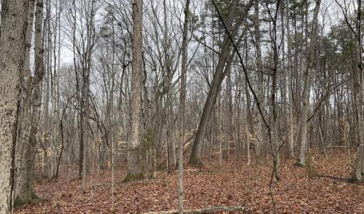 Photo #10 of Snow Hill Road, Alton, VA 31.7 acres