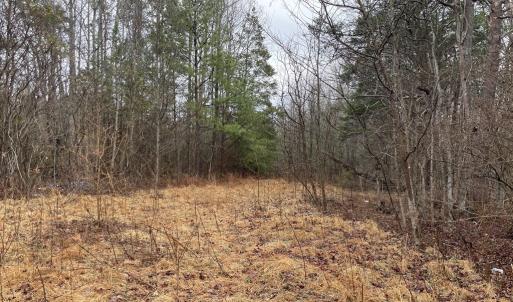 Photo #11 of Snow Hill Road, Alton, VA 31.7 acres