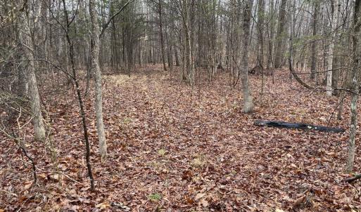 Photo #12 of Snow Hill Road, Alton, VA 31.7 acres