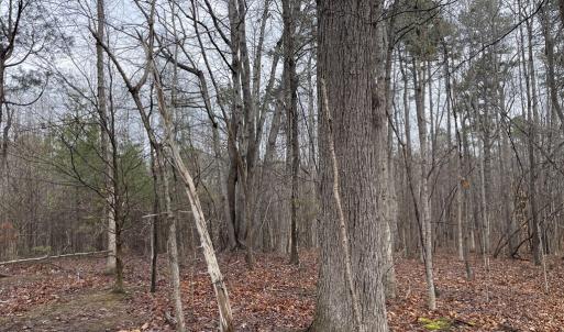 Photo #13 of Snow Hill Road, Alton, VA 31.7 acres