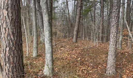 Photo #15 of Snow Hill Road, Alton, VA 31.7 acres