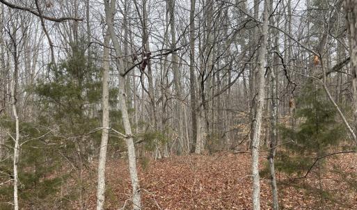 Photo #16 of Snow Hill Road, Alton, VA 31.7 acres