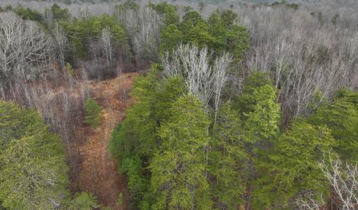 Photo #2 of Snow Hill Road, Alton, VA 31.7 acres