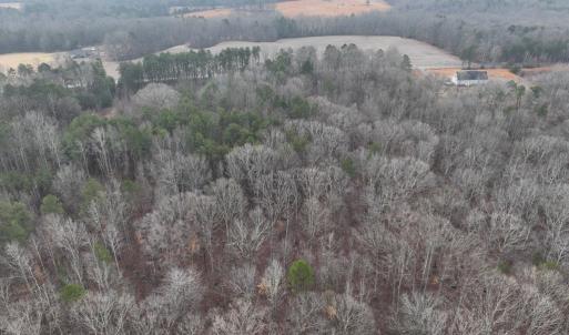 Photo #4 of Snow Hill Road, Alton, VA 31.7 acres