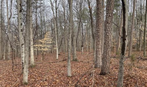 Photo #8 of Snow Hill Road, Alton, VA 31.7 acres
