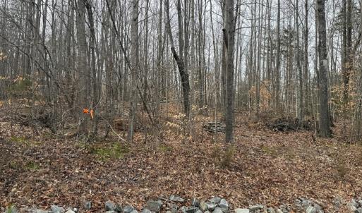 Photo #3 of West Lockett Creek Blvd, Pamplin, VA 2.9 acres