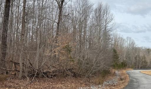 Photo #5 of West Lockett Creek Blvd, Pamplin, VA 2.9 acres