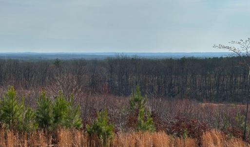 Photo #2 of 604 0 Meadow Creek Rd, Wingina, VA 19.5 acres