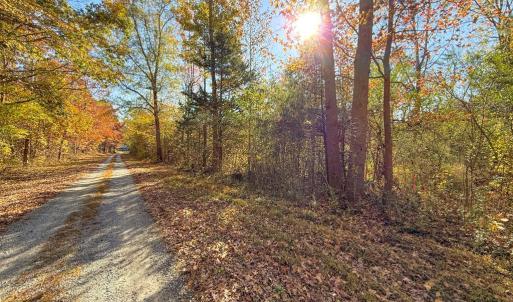Photo #2 of Lovely Zion Road, Rawlings, VA 4.9 acres