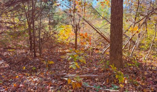 Photo #3 of Lovely Zion Road, Rawlings, VA 4.9 acres