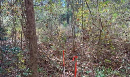 Photo #5 of Lovely Zion Road, Rawlings, VA 4.9 acres