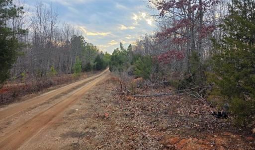 Photo #11 of Happy Trails Lane, Appomattox, VA 10.5 acres