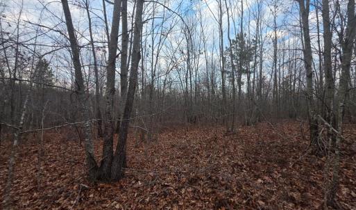 Photo #13 of Happy Trails Lane, Appomattox, VA 10.5 acres