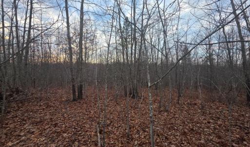Photo #14 of Happy Trails Lane, Appomattox, VA 10.5 acres