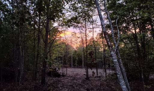 Photo #5 of Happy Trails Lane, Appomattox, VA 10.5 acres