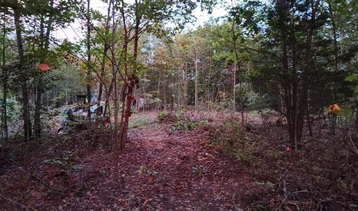 Photo #7 of Happy Trails Lane, Appomattox, VA 10.5 acres