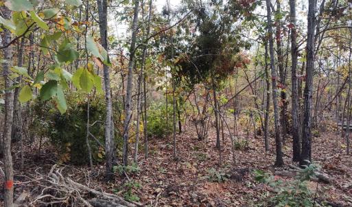Photo #8 of Happy Trails Lane, Appomattox, VA 10.5 acres