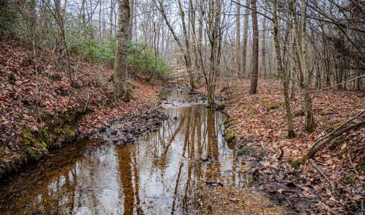 Photo #3 of Troublesome Creek Rd, Buckingham, VA 42.3 acres