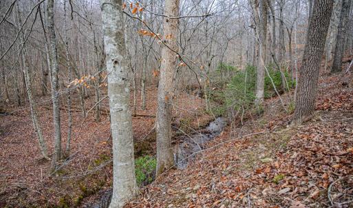 Photo #4 of Troublesome Creek Rd, Buckingham, VA 42.3 acres