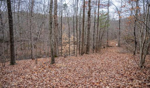Photo #5 of Troublesome Creek Rd, Buckingham, VA 42.3 acres