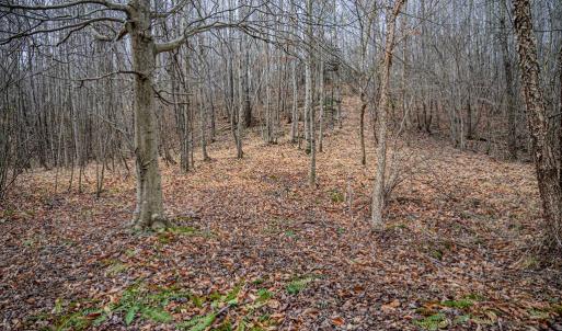 Photo #6 of Troublesome Creek Rd, Buckingham, VA 42.3 acres