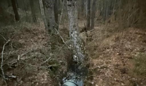 Photo #13 of Piney Mountain Road, Appomattox, VA 23.2 acres