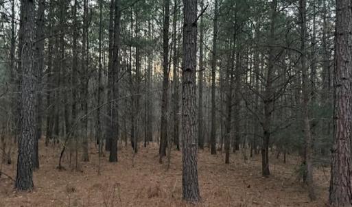 Photo #12 of Piney Mountain Road, Appomattox, VA 23.2 acres