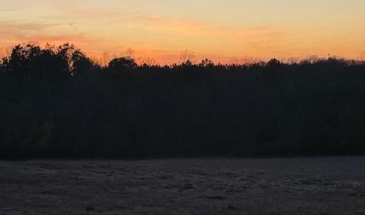 Photo #23 of Piney Mountain Road, Appomattox, VA 23.2 acres