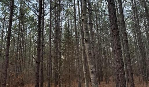 Photo #10 of Piney Mountain Road, Appomattox, VA 23.2 acres