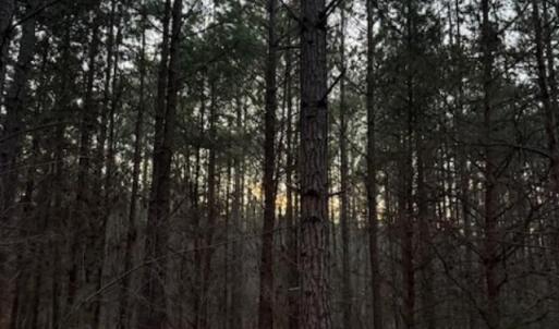 Photo #11 of Piney Mountain Road, Appomattox, VA 23.2 acres