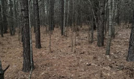 Photo #9 of Piney Mountain Road, Appomattox, VA 23.2 acres