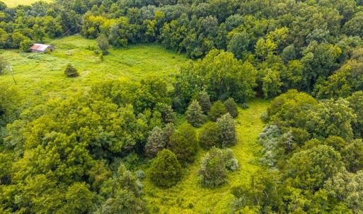 Photo #4 of 626 Holiday Lake Road, Appomattox, VA 12.2 acres