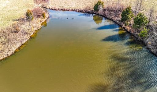 Photo #20 of 1237 Main Street, Dillwyn, VA 10.5 acres