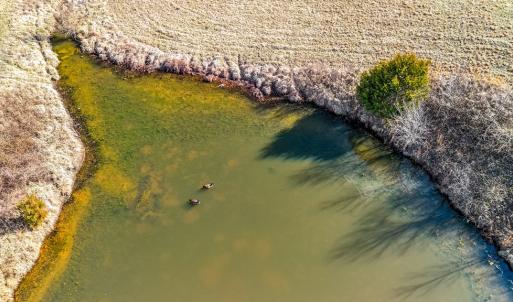 Photo #21 of 1237 Main Street, Dillwyn, VA 10.5 acres