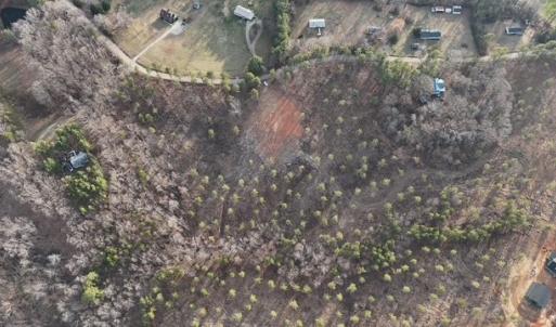 Photo #17 of Amelia Springs, Jetersville, VA 10.0 acres