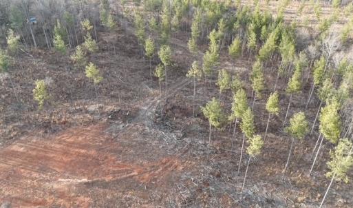 Photo #5 of Amelia Springs, Jetersville, VA 10.0 acres